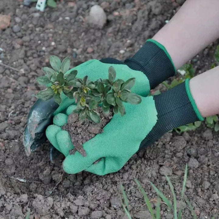 Gants De Jardinage À Griffes