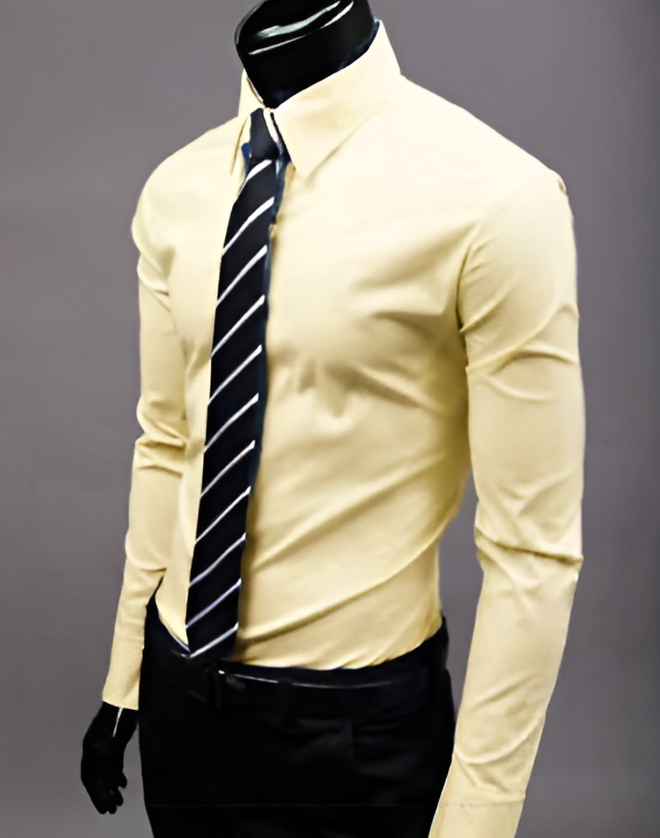 Chemise Formelle Ajustée Pour Hommes | Manches Longues